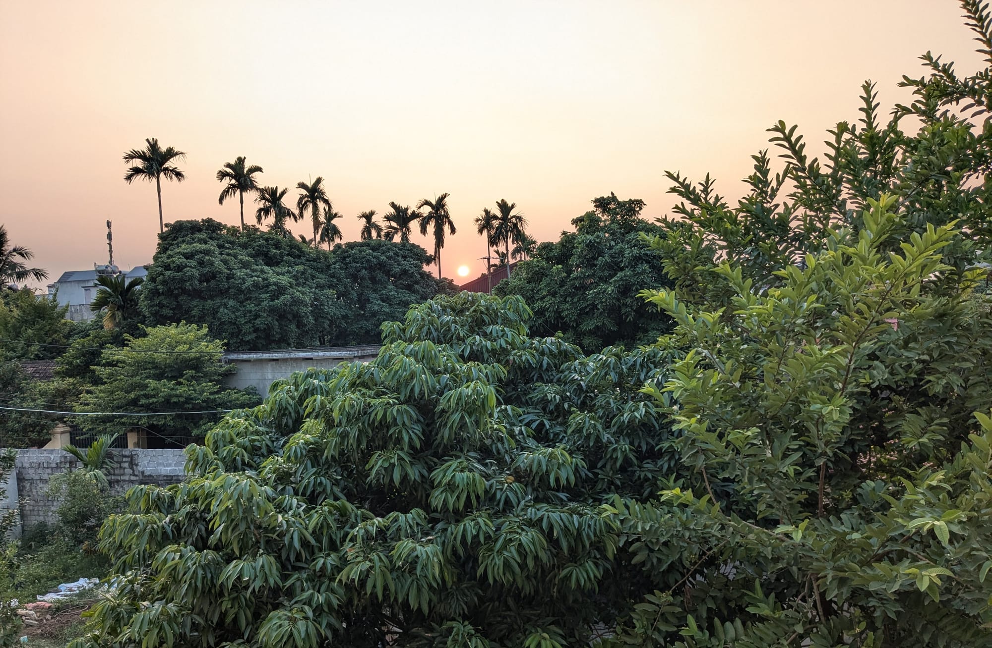 Living in Việt Nam, Pt. 4 - Pomp in Circumstances