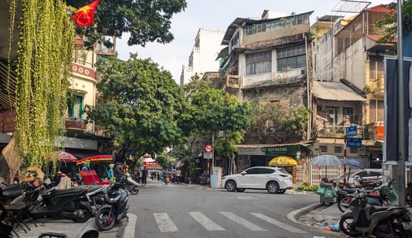 Living in Việt Nam, Pt. 2 - You Will Survive Now